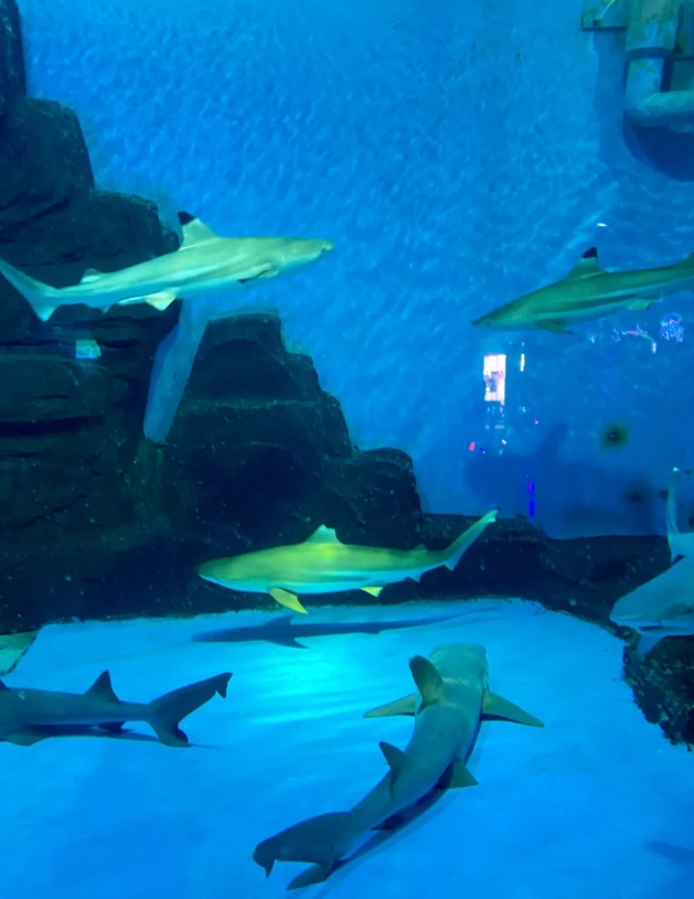 Dalian tourist attractions