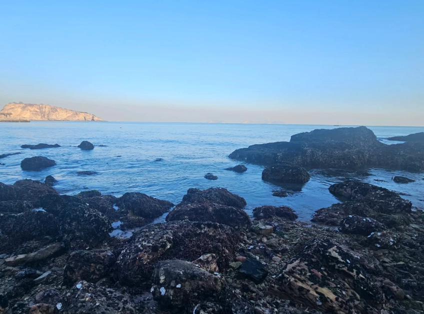 Dalian itinerary for first-timers: 3 days to skip the crowds