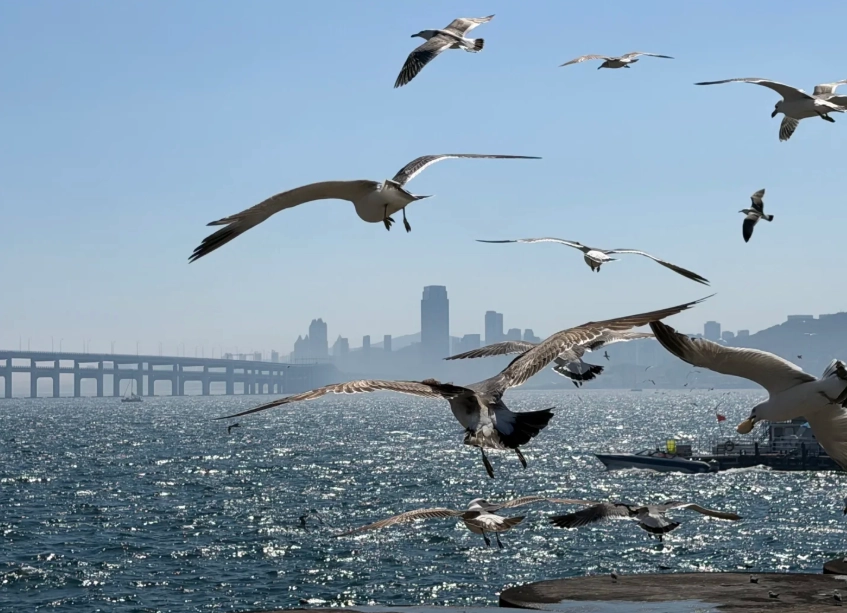 things to do in Dalian