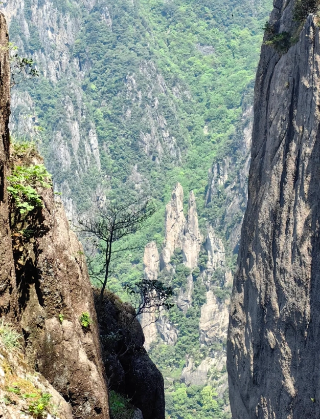 hiking in Huangshan hiking in Huangshan
