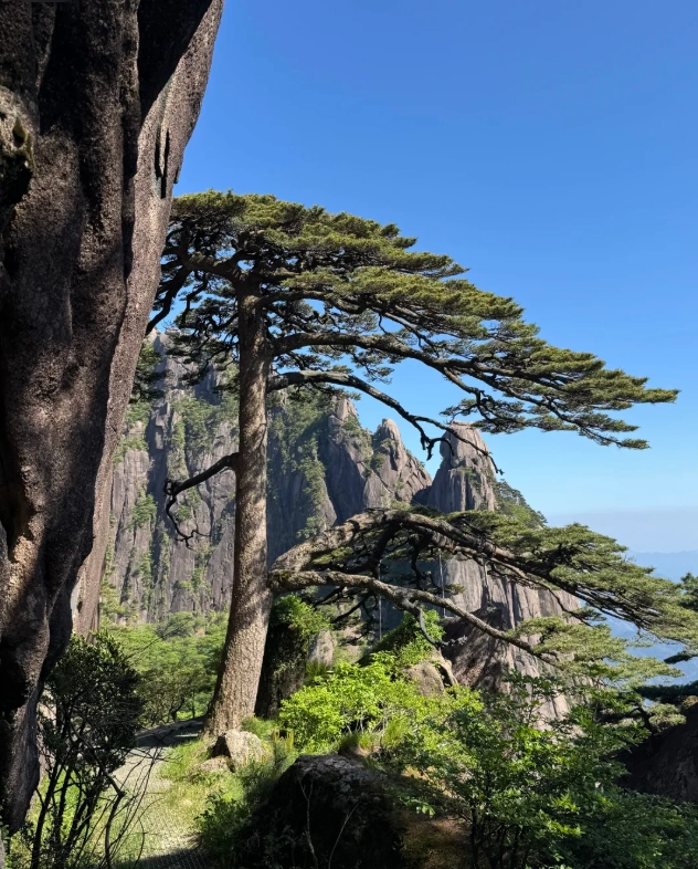 How to visit Yellow Mountain: 7 insider tips for a smooth trip