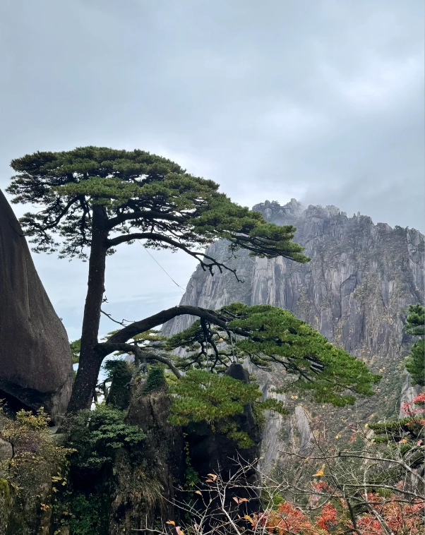 Huangshan worth it Huangshan worth it