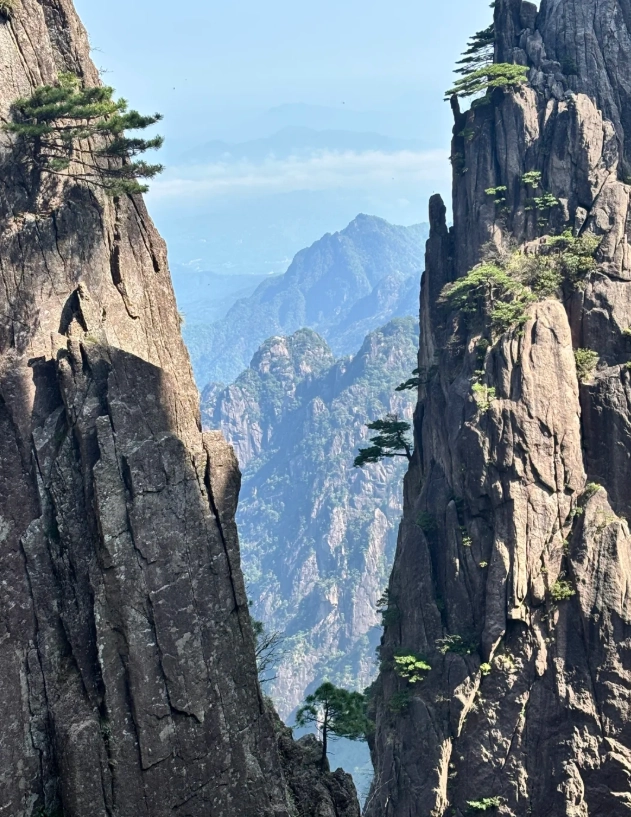 Huangshan tour with Hongcun Huangshan tour with Hongcun