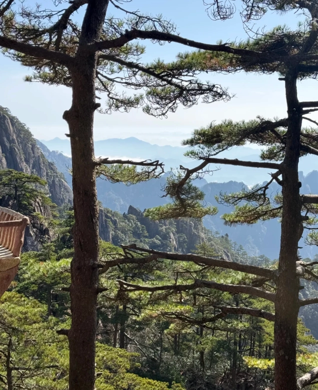 Best Huangshan Hongcun tour Best Huangshan Hongcun tour