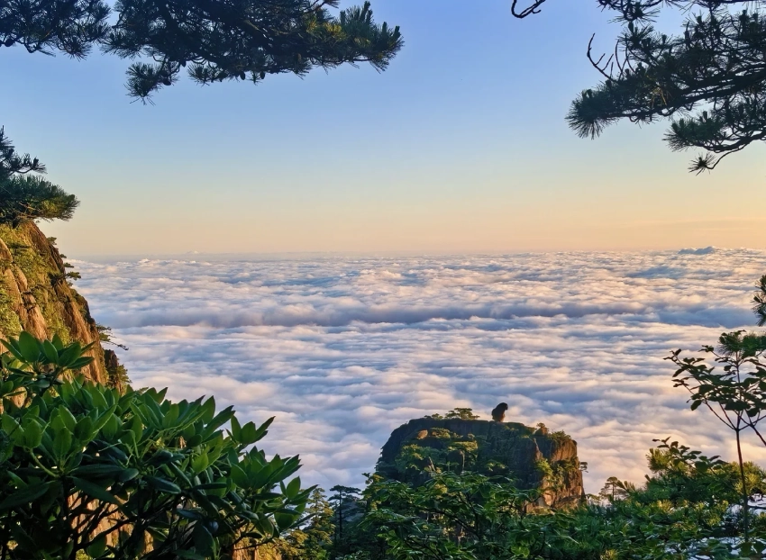 Huangshan travel guide