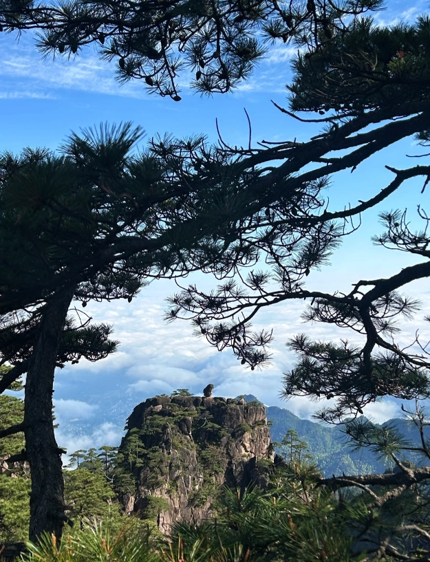 Huangshan transportation tips Huangshan transportation tips