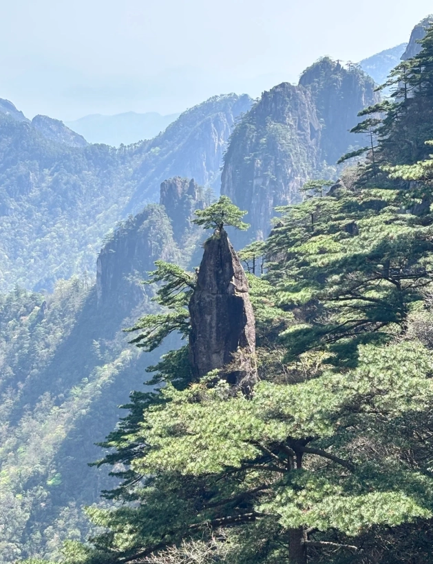 Huangshan Hongcun itinerary 5 days Huangshan Hongcun itinerary 5 days