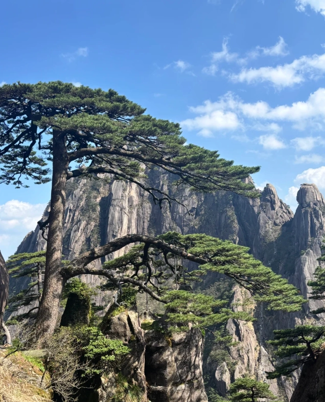 Yellow Mountain travel guide