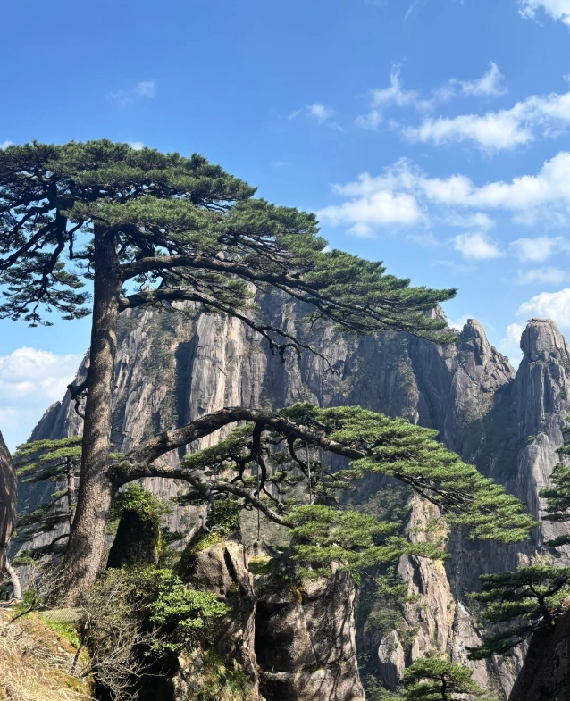 Hongcun village tour from Huangshan Hongcun village tour from Huangshan