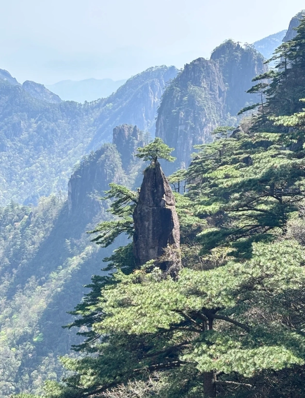 best time to visit Yellow Mountain