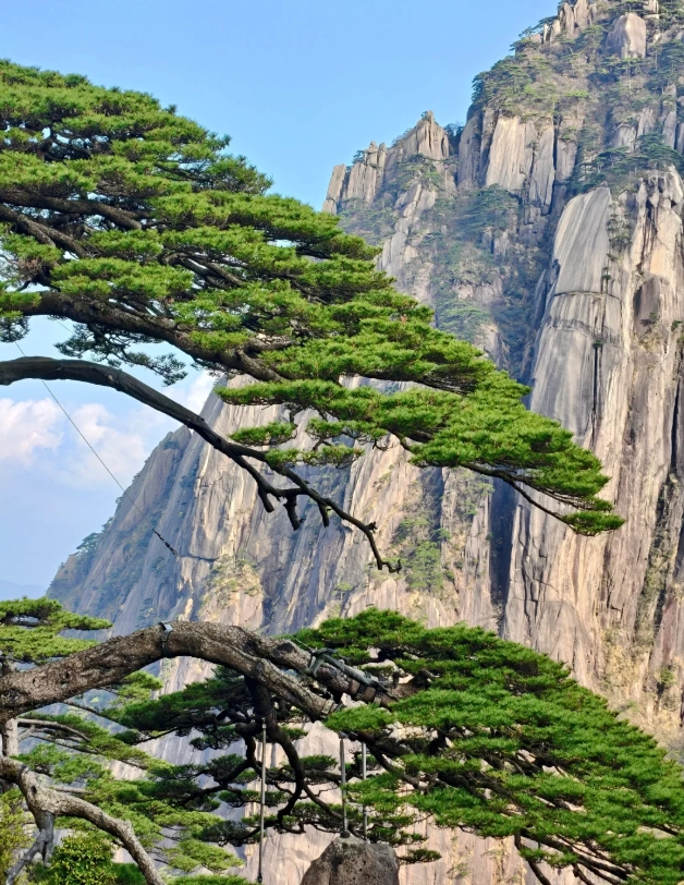 Huangshan peak season