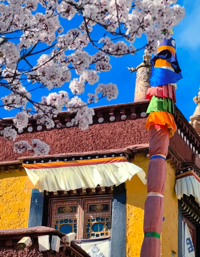 Lhasa travel tips Lhasa travel tips