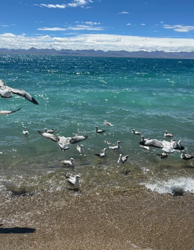 altitude sickness symptoms Lake Namtso altitude sickness symptoms Lake Namtso