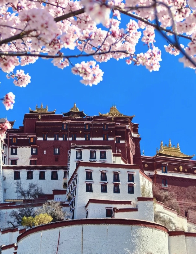 Lhasa altitude sickness prevention Lhasa altitude sickness prevention