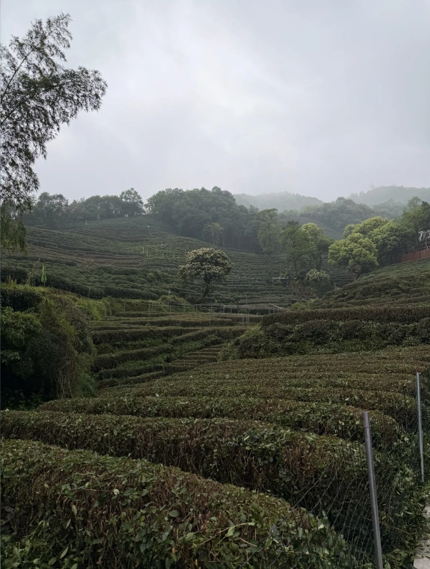 How to use 144 hour transit visa Hangzhou How to use 144 hour transit visa Hangzhou