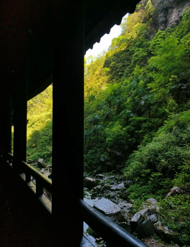 chongqing to wulong bus chongqing to wulong bus