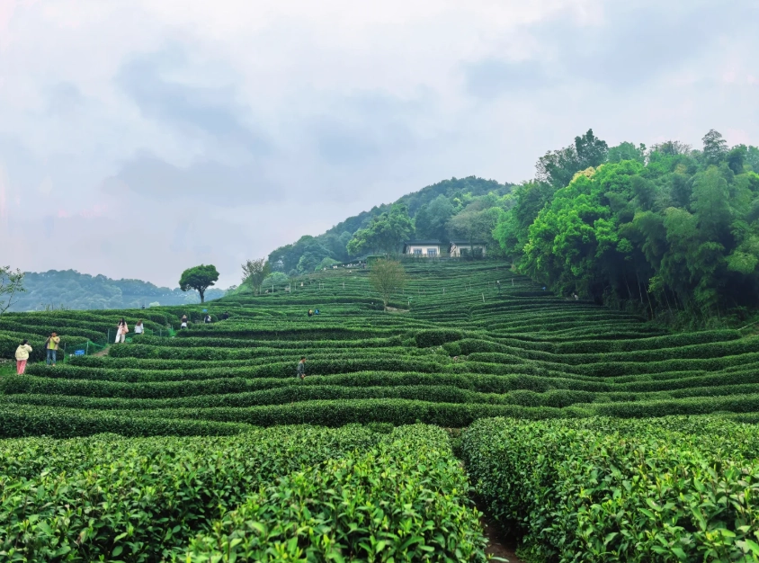 Hangzhou travel safety Hangzhou travel safety