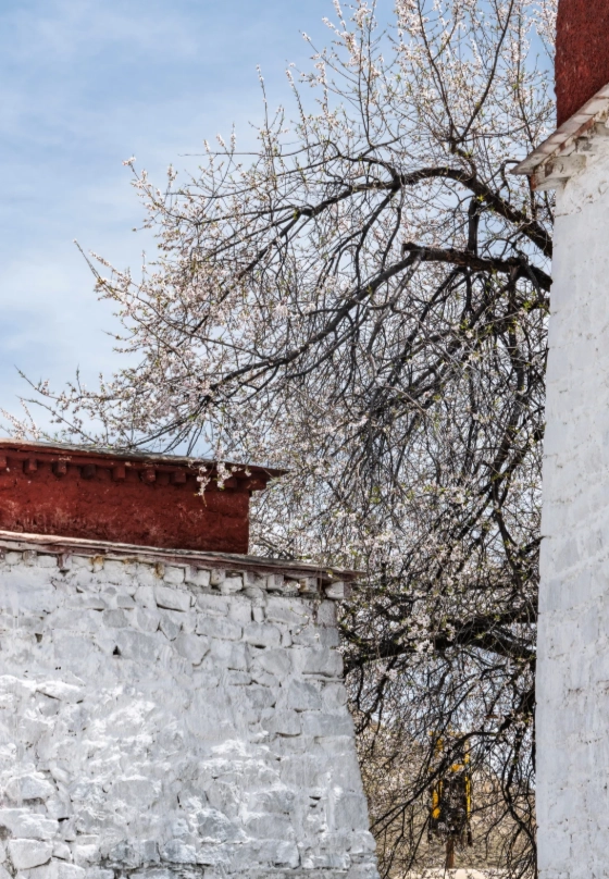 travel to Lhasa alone travel to Lhasa alone