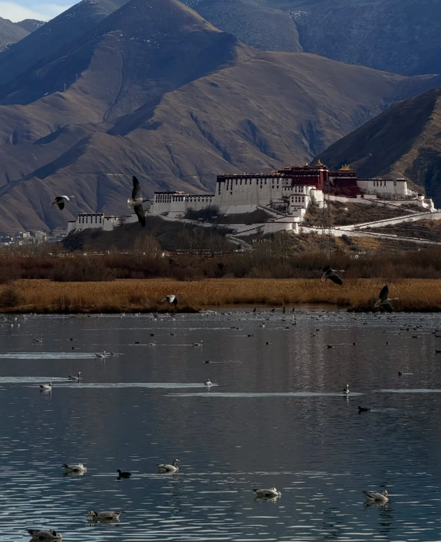 Lhasa travel Lhasa travel