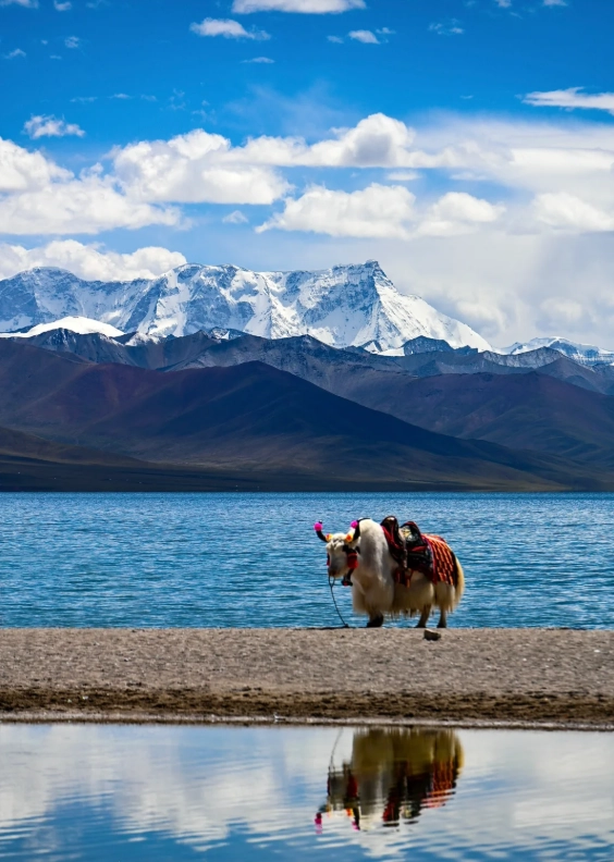 Tibet budget tips Tibet budget tips