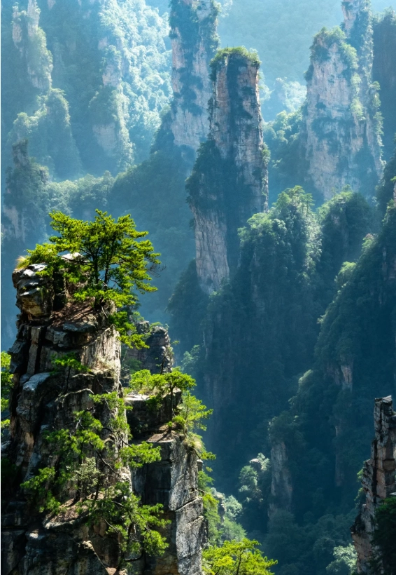 how to visit zhangjiajie as a foreigner how to visit zhangjiajie as a foreigner
