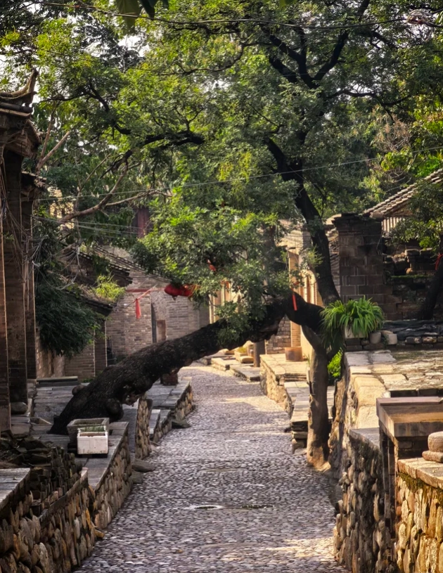 Xi'an travel guide Xi'an travel guide