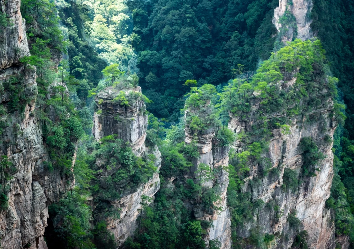 zhangjiajie national forest park for foreigners zhangjiajie national forest park for foreigners