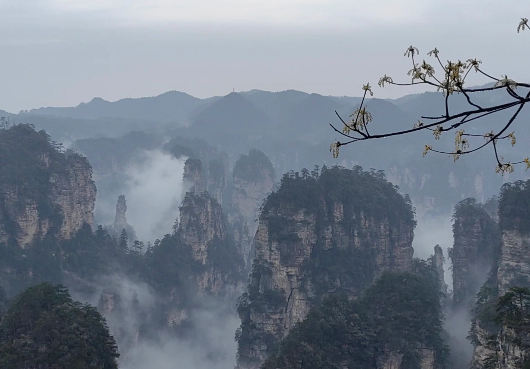 Traveling from Chongqing to Zhangjiajie: Skip the Tourist Traps