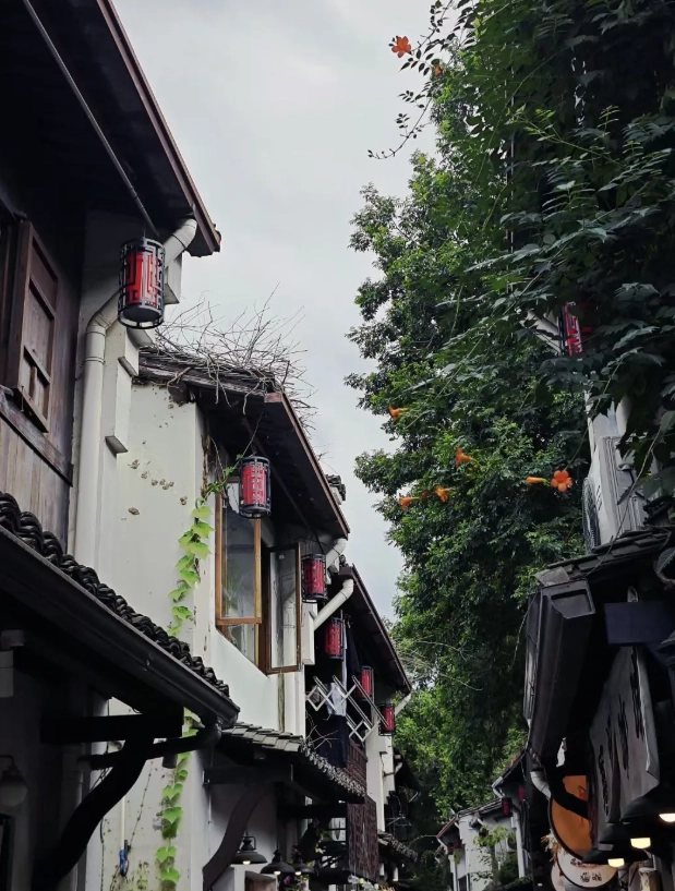 English friendly Hangzhou