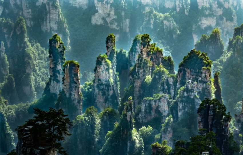 zhangjiajie national forest park for foreigners zhangjiajie national forest park for foreigners