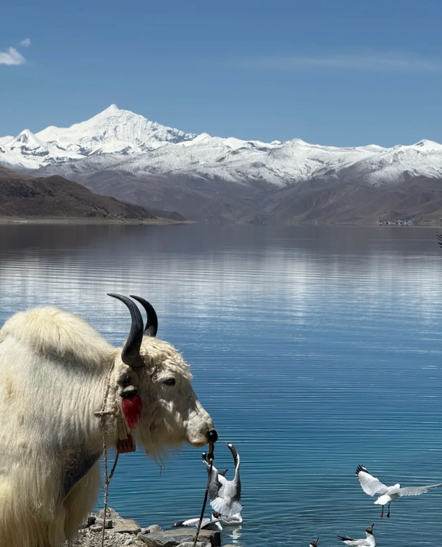 Lhasa itinerary cost Lhasa itinerary cost