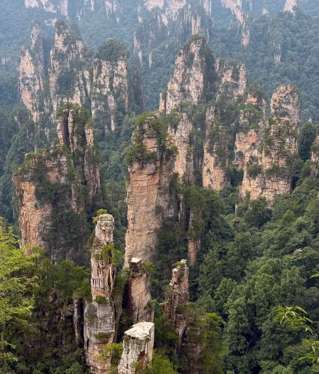 Zhangjiajie National Forest Park tickets Zhangjiajie National Forest Park tickets