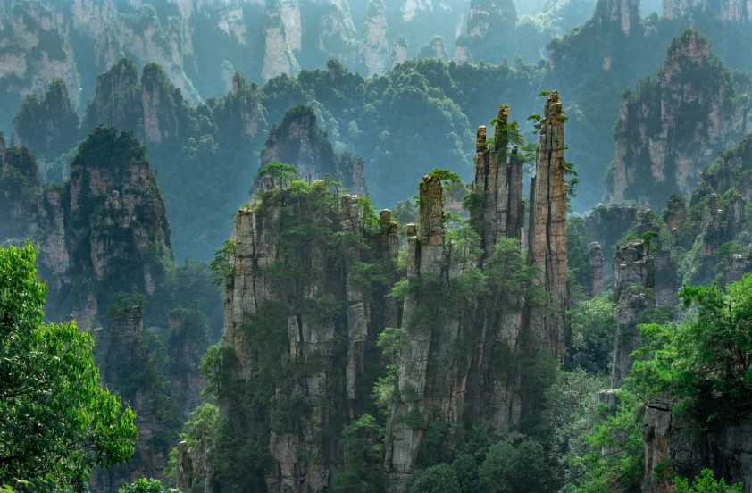 zhangjiajie ticket booking for foreigners zhangjiajie ticket booking for foreigners