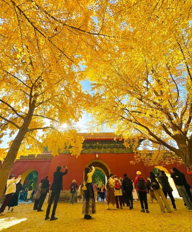Beijing fall travel