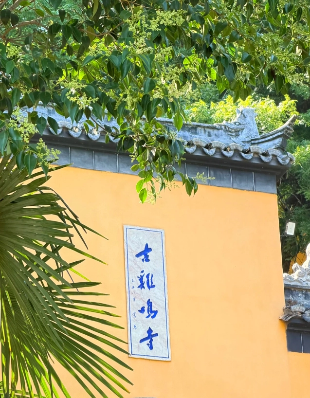 solo travel Nanjing
