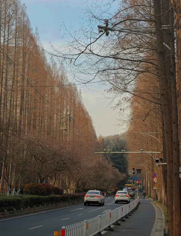 cheap things to do in Nanjing cheap things to do in Nanjing
