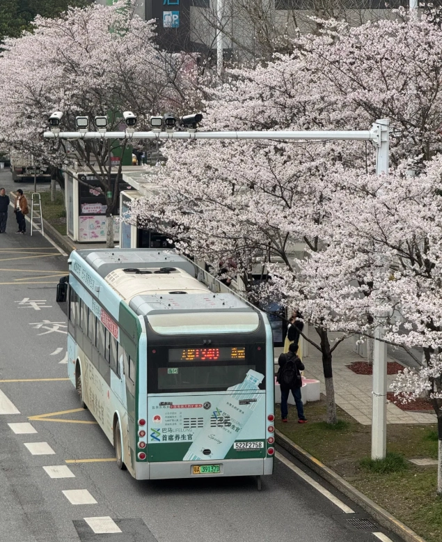 how to use Wuhan public transport how to use Wuhan public transport