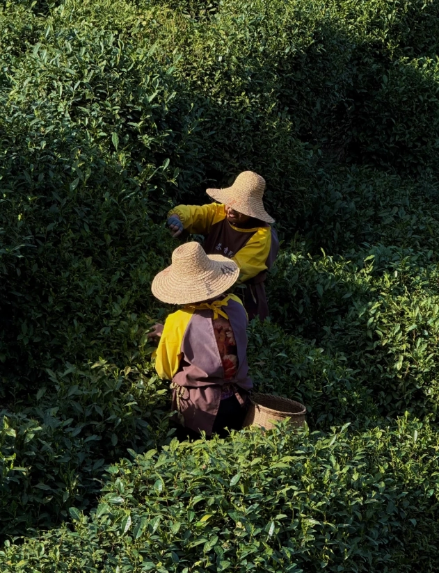 Hangzhou Hidden Gems: Skip the Crowds & See the Real City