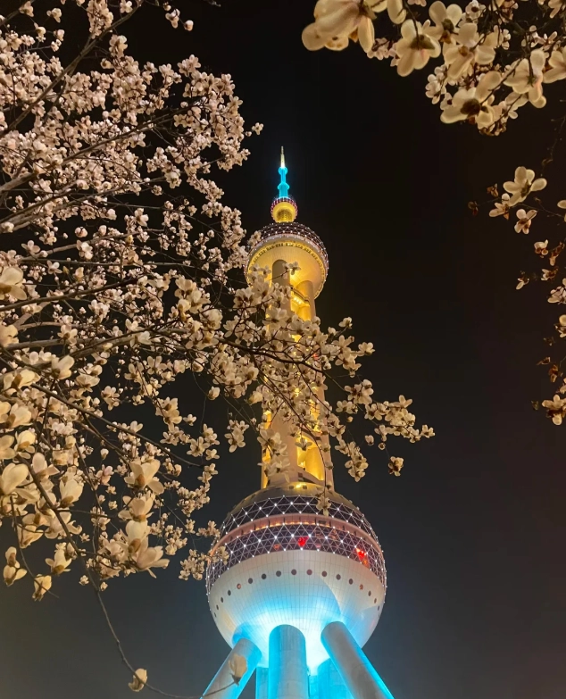 Shanghai one day tour Shanghai one day tour