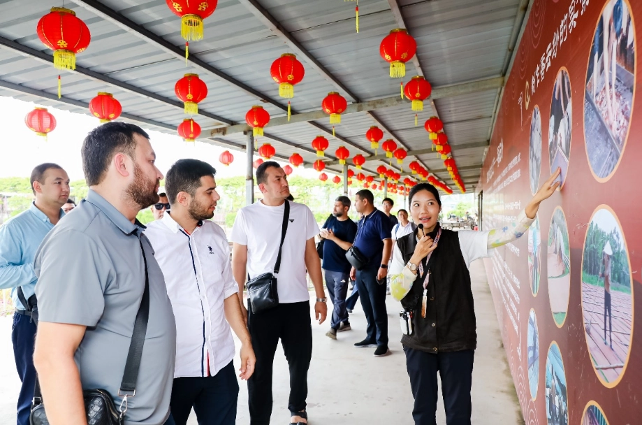 144 hour visa free China 144 hour visa free China