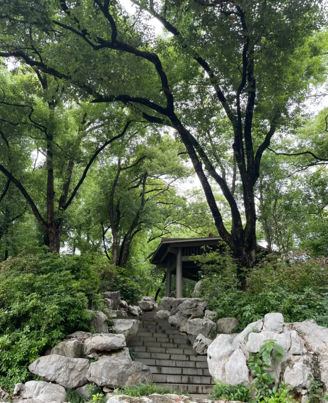 Wuhan East Lake