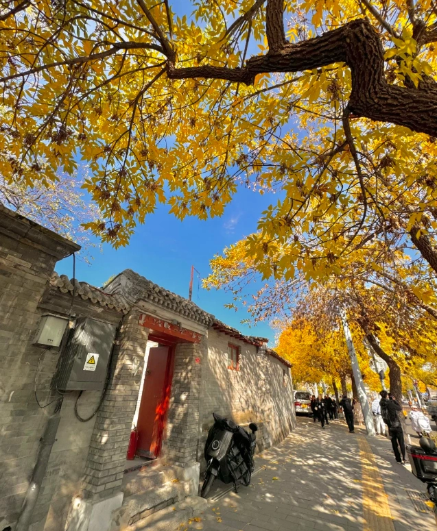Beijing autumn activities