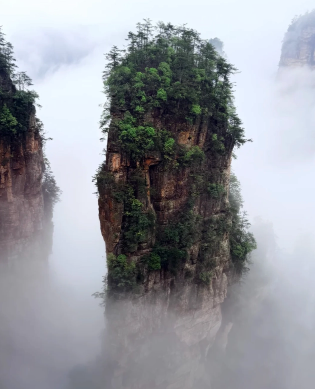 family trip to Zhangjiajie China family trip to Zhangjiajie China