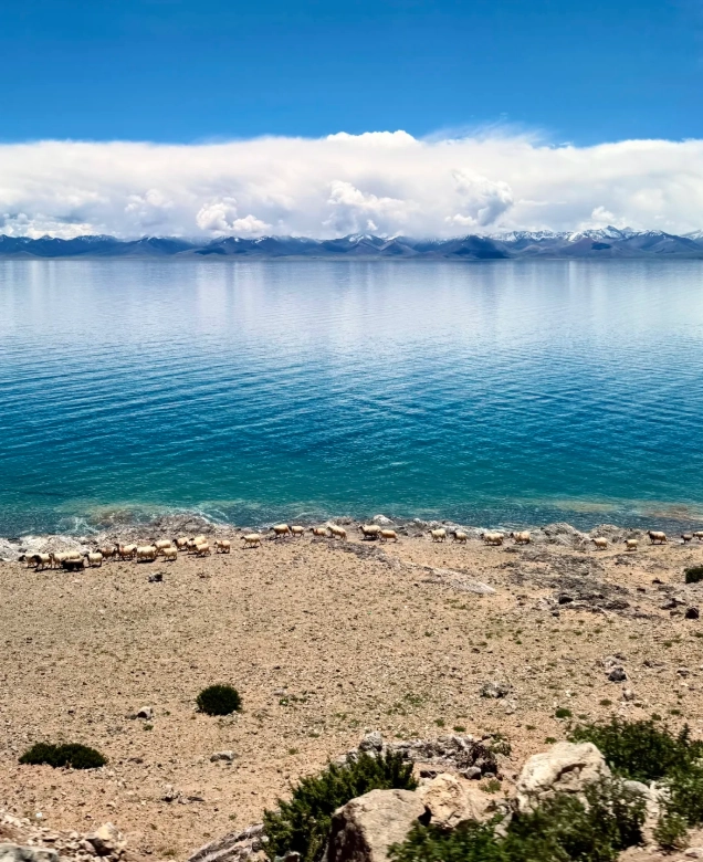 Namtso Lake tour Namtso Lake tour