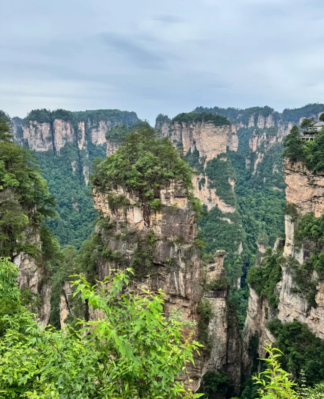 Zhangjiajie National Forest Park day trip Zhangjiajie National Forest Park day trip