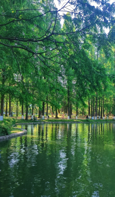 East Lake scenic spots map East Lake scenic spots map