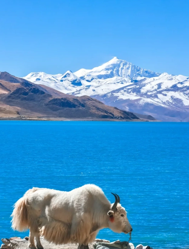 Lhasa itinerary 3 days Lhasa itinerary 3 days