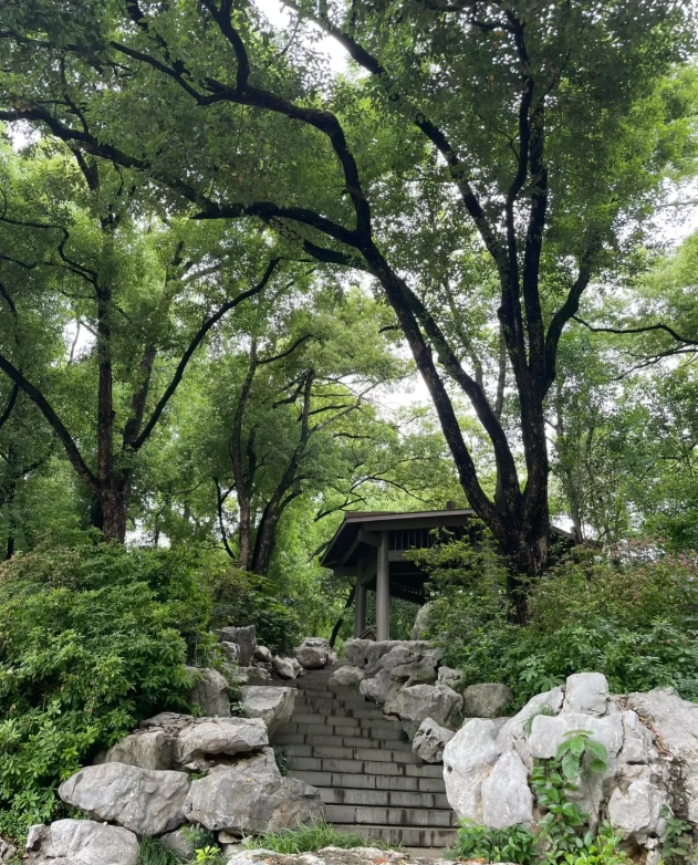 72 hour transit visa Wuhan