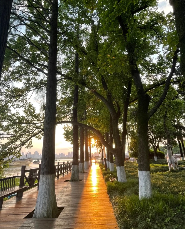 Wuhan stopover