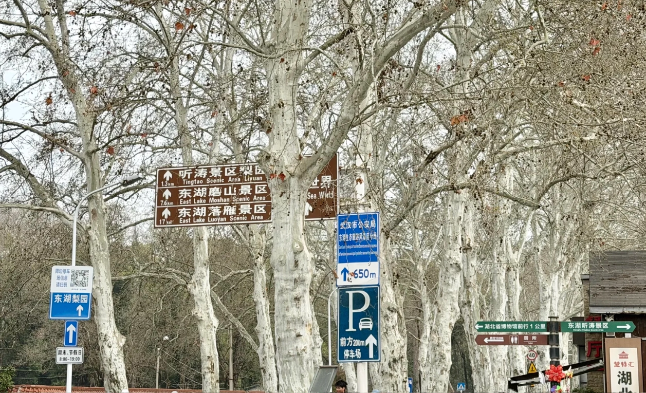 East Lake scenic spots guide